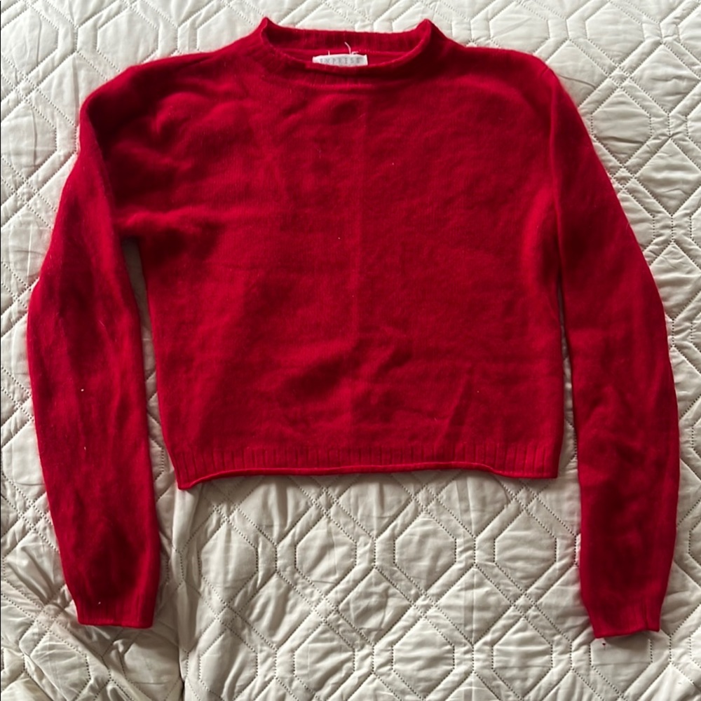 Express Angora Sweater